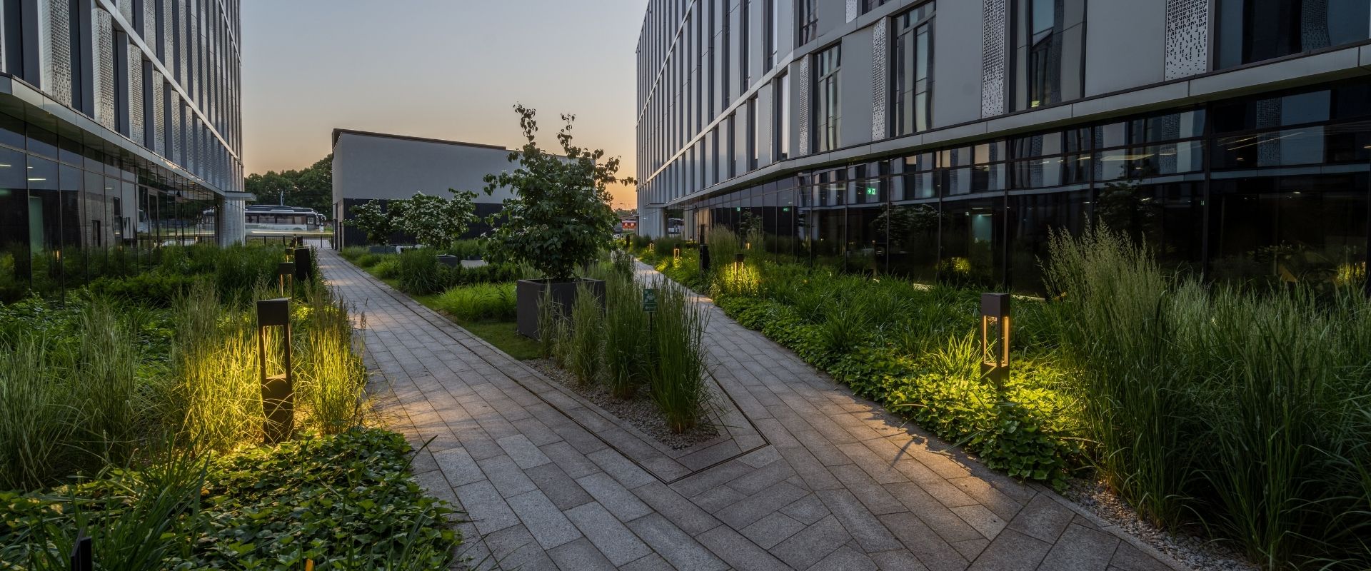 V.Offices, Krakow: Sustainability, Garden