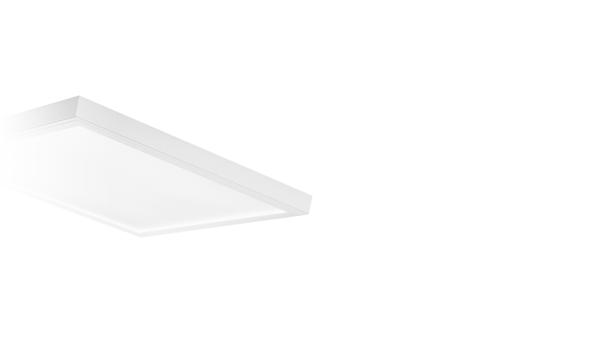 C-Line Fs